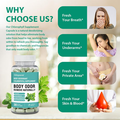 Chlorophyll Kapseln – Innerliches Deodorant für Frauen und Männer zur Unterstützung der Darmgesundheit, frischer Atem, Hautgesundheit, Entgiftung & Verdauung – natürlicher Geruchsentferner, vegan, nicht-GVO – 30 Kapseln