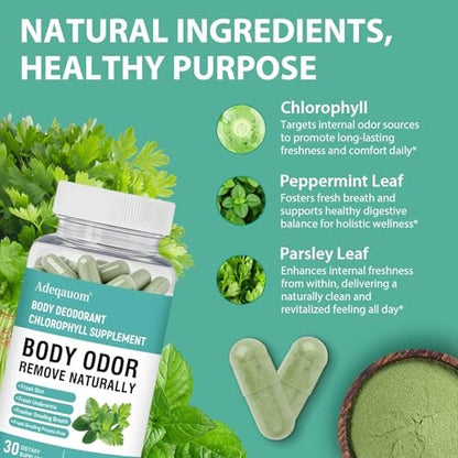 Chlorophyll Kapseln – Innerliches Deodorant für Frauen und Männer zur Unterstützung der Darmgesundheit, frischer Atem, Hautgesundheit, Entgiftung & Verdauung – natürlicher Geruchsentferner, vegan, nicht-GVO – 30 Kapseln