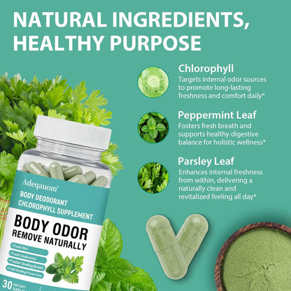 Chlorophyll Kapseln – Innerliches Deodorant für Frauen und Männer zur Unterstützung der Darmgesundheit, frischer Atem, Hautgesundheit, Entgiftung & Verdauung – natürlicher Geruchsentferner, vegan, nicht-GVO – 30 Kapseln