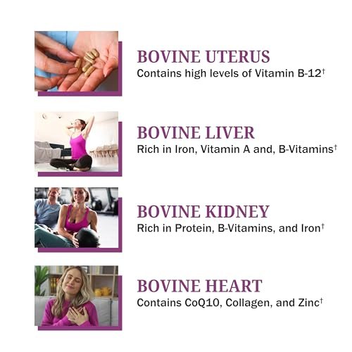 BioSchwartz Primal Beef Organ Supplement für Frauen – 60 Kapseln – Weidehaltung & Grasfütterung – Unterstützt gesunde Haare, Haut, Nägel und Hormonbalance – mit Rinderleber, Niere, Herz, Gebärmutterpulver
