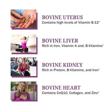 BioSchwartz Primal Beef Organ Supplement für Frauen – 60 Kapseln – Weidehaltung & Grasfütterung – Unterstützt gesunde Haare, Haut, Nägel und Hormonbalance – mit Rinderleber, Niere, Herz, Gebärmutterpulver
