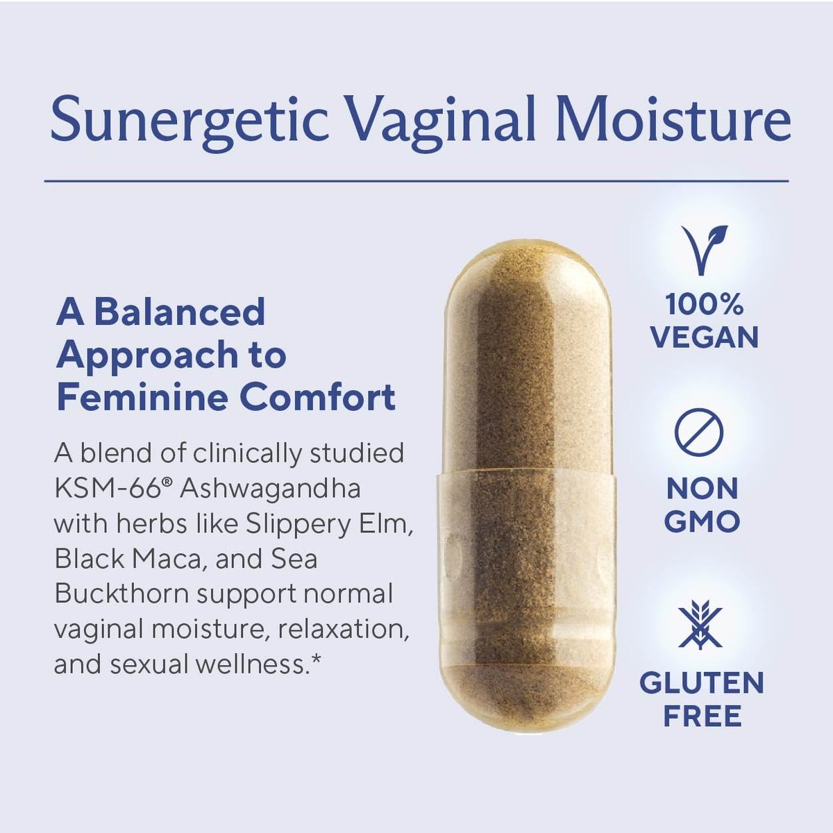 Premium Vaginale Feuchtigkeitsunterstützung Kapseln - Vaginale Feuchtigkeit & Stimmung, Sexuelle Funktion & Entspannung, Trockenheit, Weibliches Wohlbefinden & Intimität, KSM 66 Ashwagandha, Ulme & Maca - 60 Kapseln