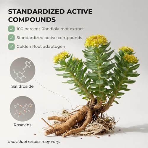Salvora Rhodiola Rosea Kapseln – Goldene Wurzel Adaptogen – Rhodiola Rosea Extrakt Alternative mit Salidrosid für Stressunterstützung – Energie, Fokus & Leistung
