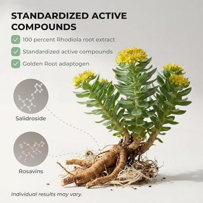 Salvora Rhodiola Rosea Kapseln – Goldene Wurzel Adaptogen – Rhodiola Rosea Extrakt Alternative mit Salidrosid für Stressunterstützung – Energie, Fokus & Leistung