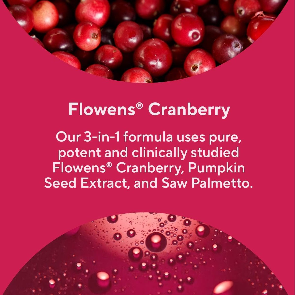 Premium Blasenunterstützung – Kapseln für gelegentlichen Harndrang, Häufigkeit & Inkontinenz – mit klinisch getesteter Cranberry, Kürbis & Sägepalme – 60 Kapseln