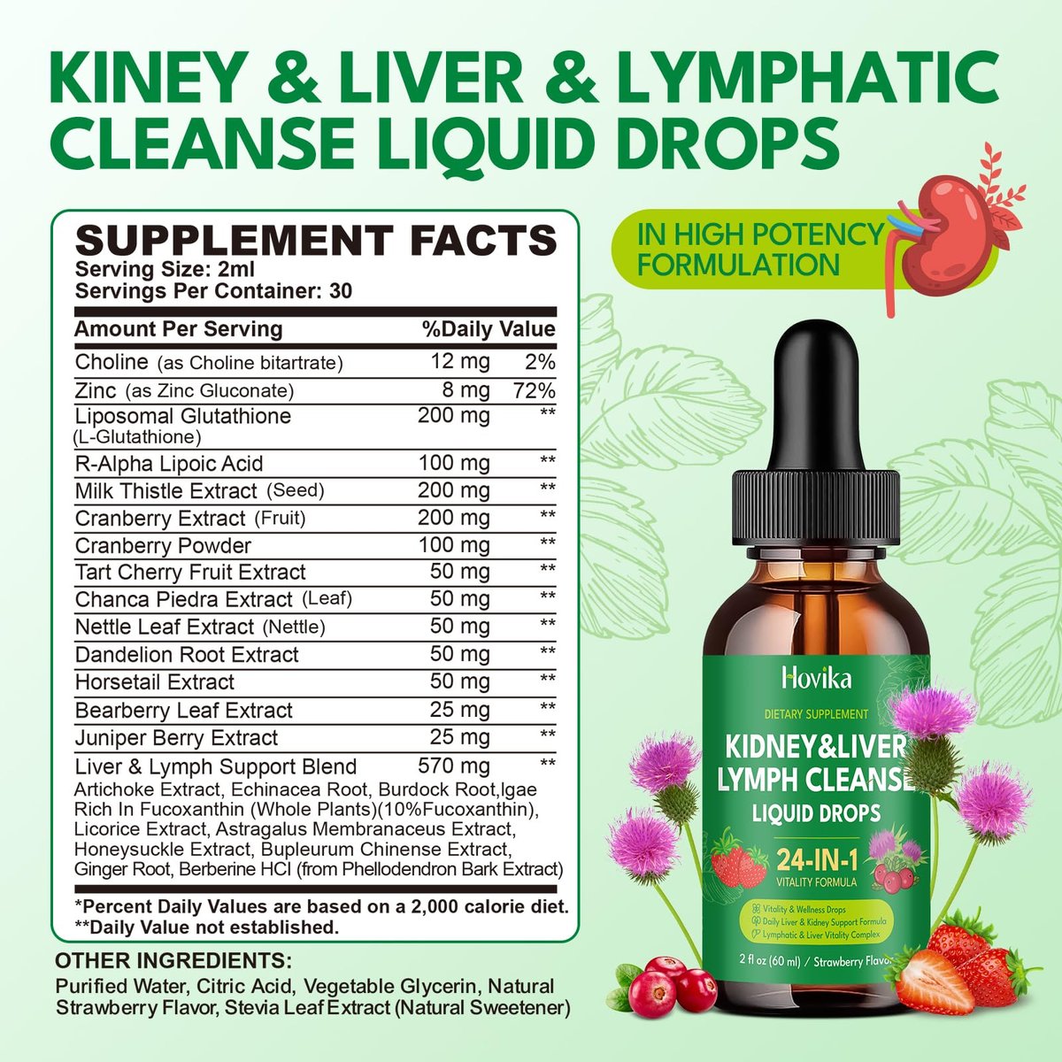24-in-1 Nieren- & Leber-, Lymphreinigung & Reparatur-Tropfen, Drei-Immun-Formel mit Cranberry, Mariendistel, vegan für Harnwege & Lymphdrainage & Leberreparatur | Erdbeergeschmack, 60 ml