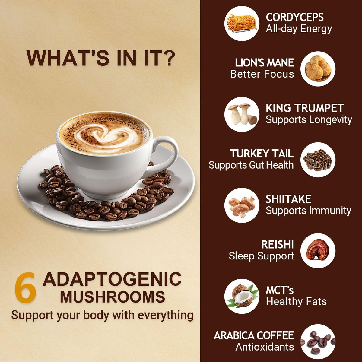 Bio Pilzkaffee Instant mit 6 Pilzen – Löwenmähne, Cordyceps, Truthahnschwanz & mehr für Energie, Fokus, Verdauung, Immunität, 35 Portionen