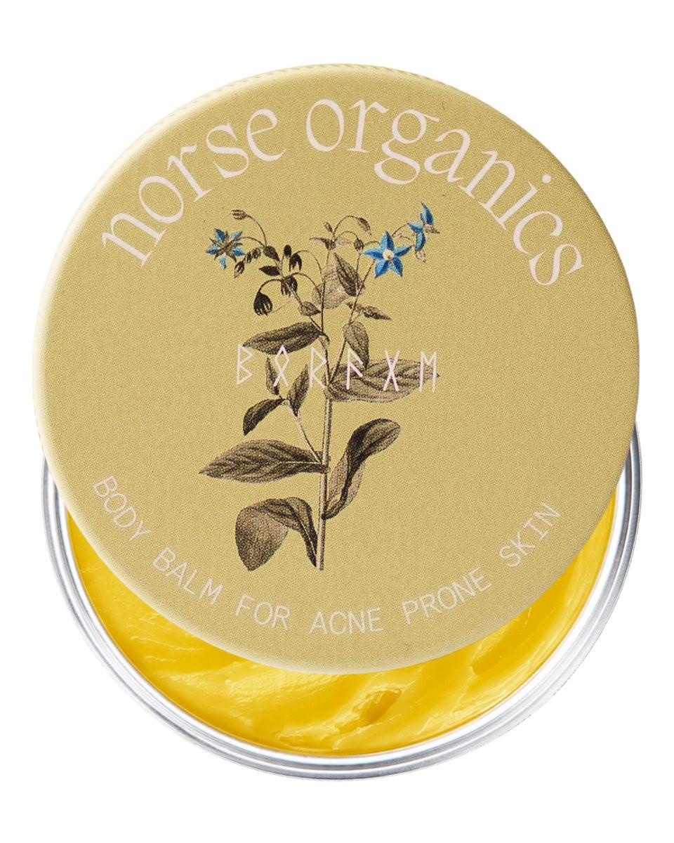 Norse Organics Körperbalsam für zu Akne neigende Haut | Arktische Kräuter & Bienenwachs für Rücken, Brust, Schultern | Distel, Hagebutte, Ringelblume, Sanddorn | Natürliche Formel für alle Hauttypen | 48 g