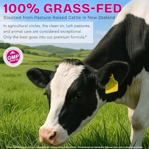 Rinderorgane-Präparat für Frauen – Weidehaltung aus Neuseeland, grasgefütterte Leber, Niere, Herz, Gebärmutter, Eierstock – Unterstützt weibliche Energie & Hormonbalance – Eisen, B12 & CoQ10 – 120 Kapseln