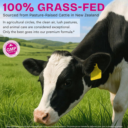 Rinderorgane-Präparat für Frauen – Weidehaltung aus Neuseeland, grasgefütterte Leber, Niere, Herz, Gebärmutter, Eierstock – Unterstützt weibliche Energie & Hormonbalance – Eisen, B12 & CoQ10 – 120 Kapseln