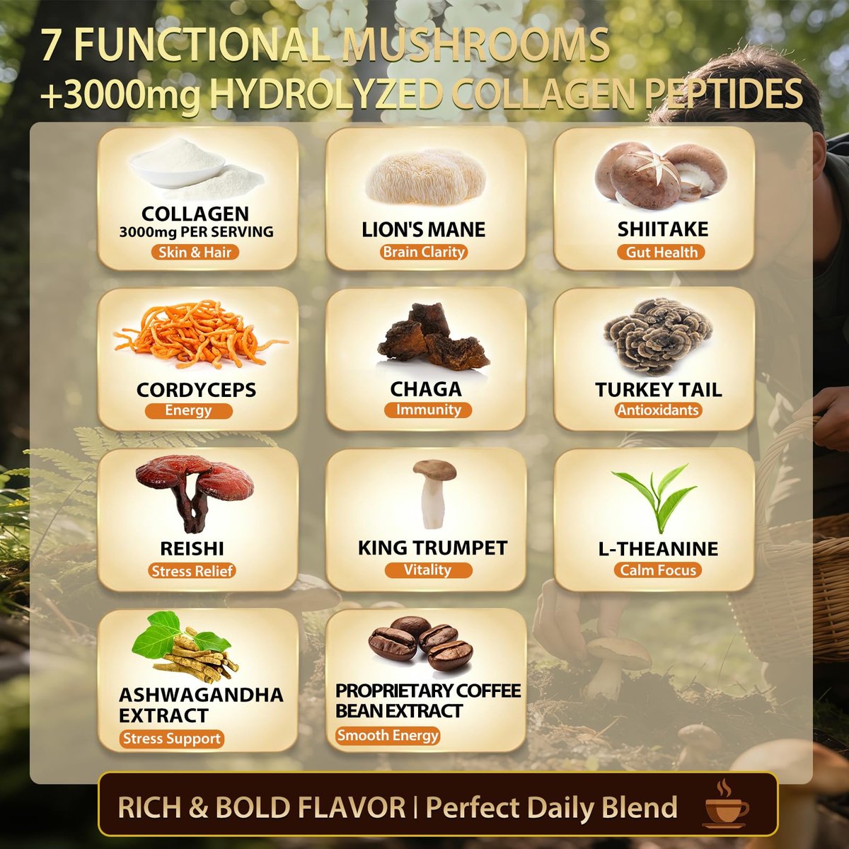Skylorin 30 Sticks Instant Mushroom Coffee – 7 Adaptogene Pilze & 3000 mg hydrolysiertes Kollagen, Ashwagandha & L-Theanin – Glatte, säurearme Kaffeepäckchen für Fokus, Energie, Haut & Immunsystem – Wenig Koffein, kein Zittern