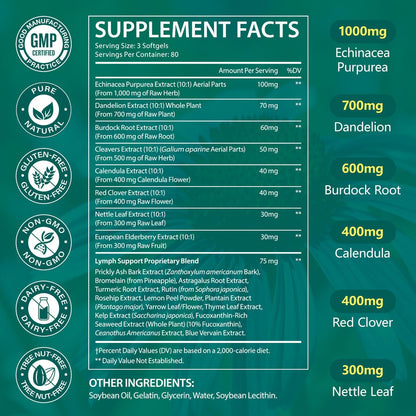 LTQXGT Lymphatic Support Supplement – Fortschrittlicher Botanischer Komplex mit Echinacea, Löwenzahn & Holunderbeere – Antioxidantienreich – Täglich – 240 Softgels