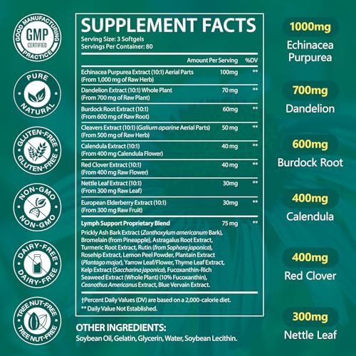 LTQXGT Lymphatic Support Supplement – Fortschrittlicher Botanischer Komplex mit Echinacea, Löwenzahn & Holunderbeere – Antioxidantienreich – Täglich – 240 Softgels