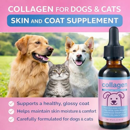 Flüssiges Kollagen für Hunde & Katzen – Weidekollagen-Peptide mit Biotin, Vitamin C & Hyaluronsäure für Haut & Fell