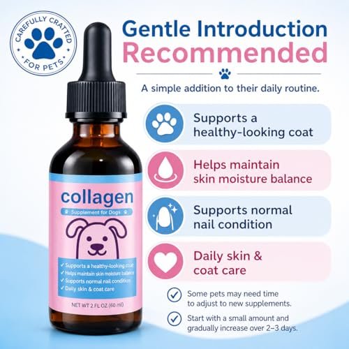 Flüssiges Kollagen für Hunde & Katzen – Weidekollagen-Peptide mit Biotin, Vitamin C & Hyaluronsäure für Haut & Fell