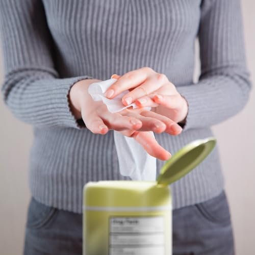 BIOPURE Antibakterielle Handtücher Vanilla Dream Duft | Antibakterielle Tücher mit Aloe und Vitamin E | 5x7 Zoll Feuchttücher-Spender | Ohne Parabene, Sulfate oder Phthalate, tötet 99% der Keime, 50 Stück