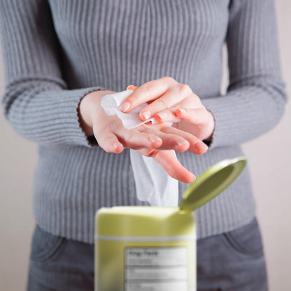 BIOPURE Antibakterielle Handtücher Vanilla Dream Duft | Antibakterielle Tücher mit Aloe und Vitamin E | 5x7 Zoll Feuchttücher-Spender | Ohne Parabene, Sulfate oder Phthalate, tötet 99% der Keime, 50 Stück