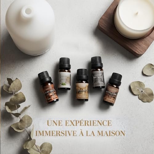 Hotel Collection Duftöl-Set für Diffuser – 6x10ml Luxuriöse Aromaöle mit Lavendel, Jasmin, Pfefferminze, Weißer Tee, Zitrusglück, My Way, Hotellobby – Geschenk für Frauen und Männer