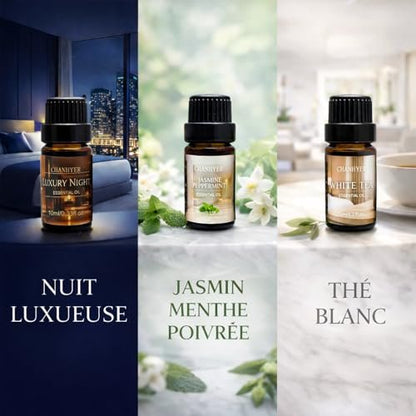 Hotel Collection Duftöl-Set für Diffuser – 6x10ml Luxuriöse Aromaöle mit Lavendel, Jasmin, Pfefferminze, Weißer Tee, Zitrusglück, My Way, Hotellobby – Geschenk für Frauen und Männer