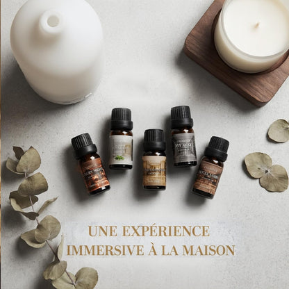 Hotel Collection Duftöl-Set für Diffuser – 6x10ml Luxuriöse Aromaöle mit Lavendel, Jasmin, Pfefferminze, Weißer Tee, Zitrusglück, My Way, Hotellobby – Geschenk für Frauen und Männer