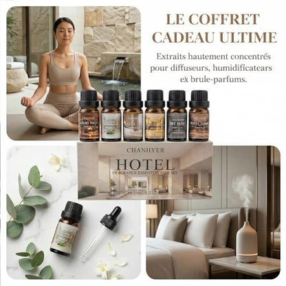Hotel Collection Duftöl-Set für Diffuser – 6x10ml Luxuriöse Aromaöle mit Lavendel, Jasmin, Pfefferminze, Weißer Tee, Zitrusglück, My Way, Hotellobby – Geschenk für Frauen und Männer