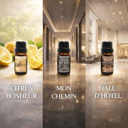 Hotel Collection Duftöl-Set für Diffuser – 6x10ml Luxuriöse Aromaöle mit Lavendel, Jasmin, Pfefferminze, Weißer Tee, Zitrusglück, My Way, Hotellobby – Geschenk für Frauen und Männer