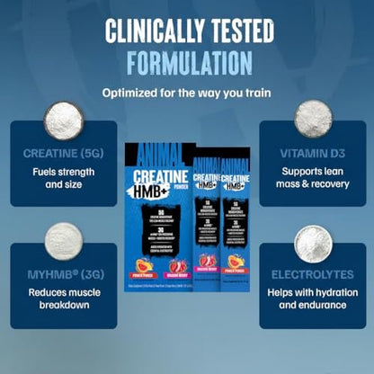 Animal Creatine HMB Pulver – 3g myHMB + 5g Creatin mit Elektrolyten für Erholung & tägliche Energie – Power Punch (3) und Dragon Berry (2) Stick Pack Proben, 5 Portionen