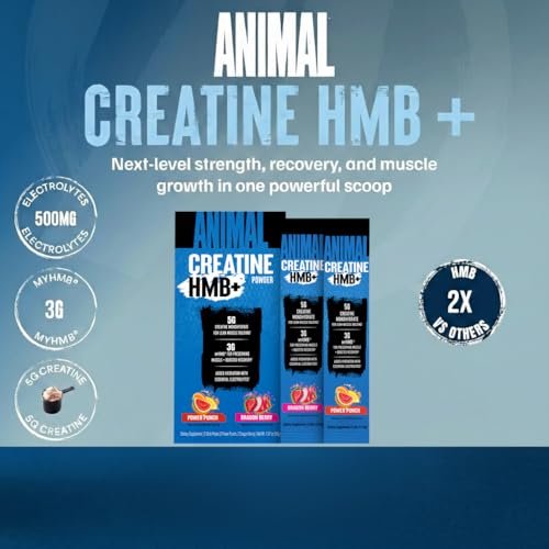 Animal Creatine HMB Pulver – 3g myHMB + 5g Creatin mit Elektrolyten für Erholung & tägliche Energie – Power Punch (3) und Dragon Berry (2) Stick Pack Proben, 5 Portionen