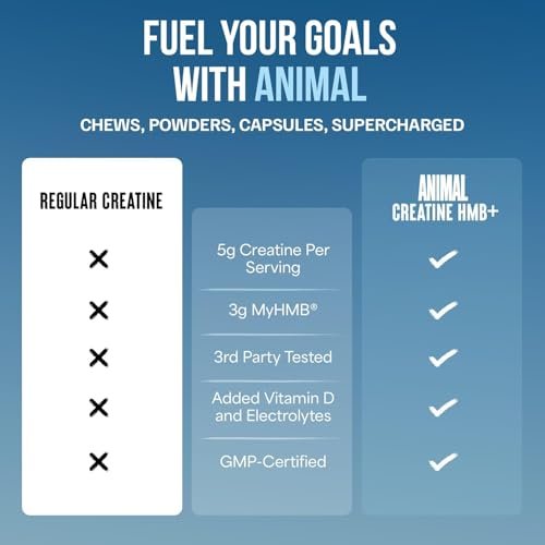 Animal Creatine HMB Pulver – 3g myHMB + 5g Creatin mit Elektrolyten für Erholung & tägliche Energie – Power Punch (3) und Dragon Berry (2) Stick Pack Proben, 5 Portionen