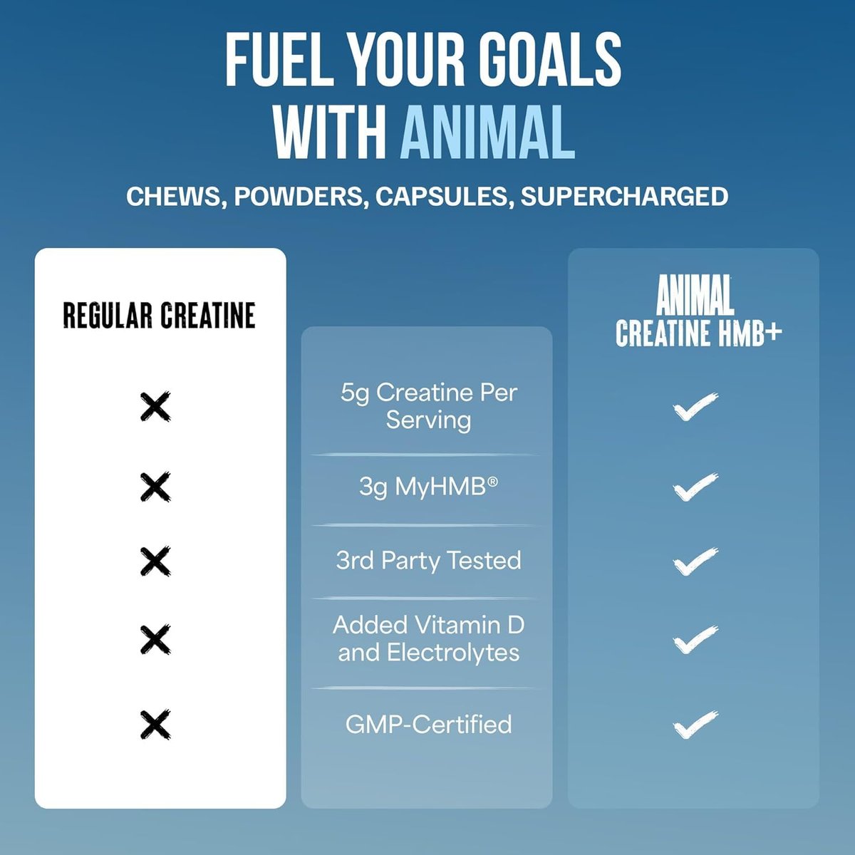 Animal Creatine HMB Pulver – 3g myHMB + 5g Creatin mit Elektrolyten für Erholung & tägliche Energie – Power Punch (3) und Dragon Berry (2) Stick Pack Proben, 5 Portionen