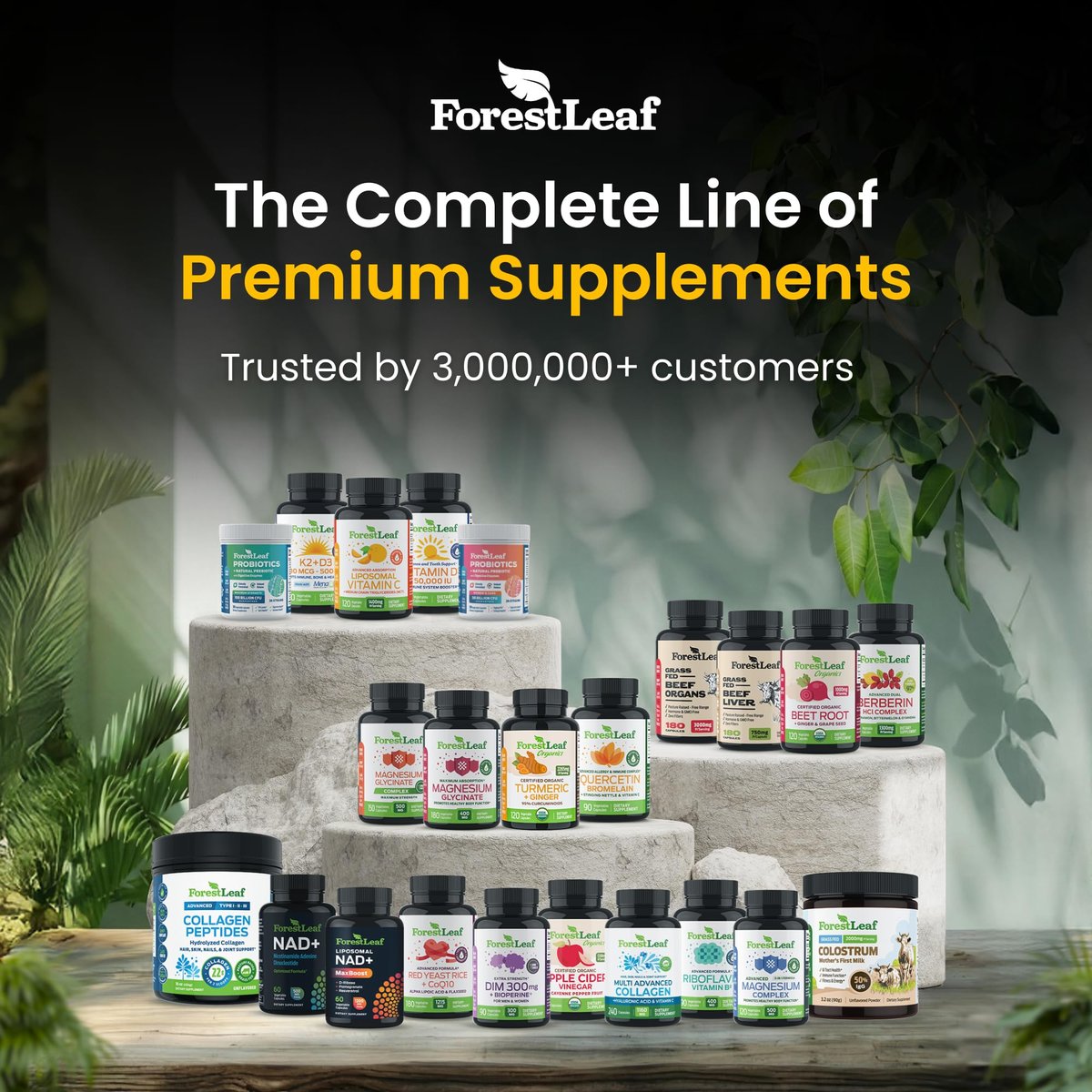 ForestLeaf Micronisiertes Creatin Monohydrat Pulver – Maximieren Sie Muskelwachstum & Kraft – Ungeschmacktes Creatin für Frauen und Männer – 5 g pro Portion – 100 Portionen