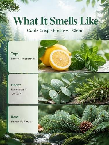 Breathe & Refresh – 100 % reine ätherische Ölmischung mit kühl-frischem Duft für Diffuser | AromaLYA