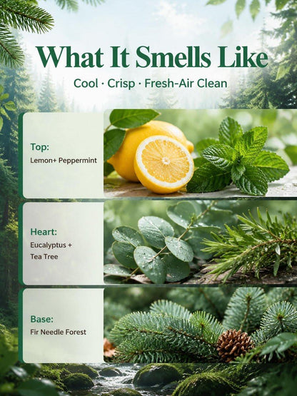 Breathe & Refresh – 100 % reine ätherische Ölmischung mit kühl-frischem Duft für Diffuser | AromaLYA