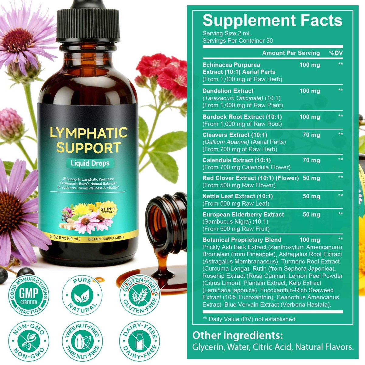 Lymphatische Drainage Tropfen – Natürliche Unterstützung für das Lymphsystem mit Echinacea, Löwenzahn, Holunder, Klettenlabkraut, Astragalus, Klette & mehr – 60 ml