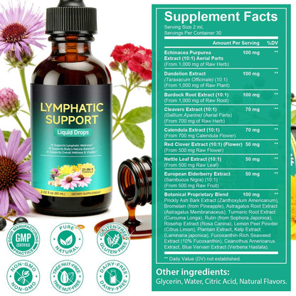Lymphatische Drainage Tropfen – Natürliche Unterstützung für das Lymphsystem mit Echinacea, Löwenzahn, Holunder, Klettenlabkraut, Astragalus, Klette & mehr – 60 ml