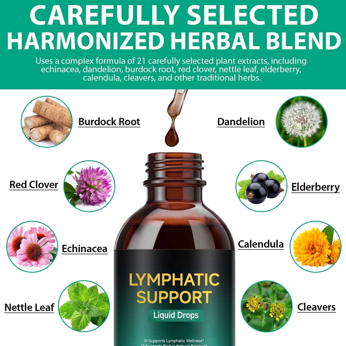 Lymphatische Drainage Tropfen – Natürliche Unterstützung für das Lymphsystem mit Echinacea, Löwenzahn, Holunder, Klettenlabkraut, Astragalus, Klette & mehr – 60 ml