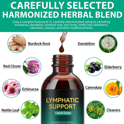 Lymphatische Drainage Tropfen – Natürliche Unterstützung für das Lymphsystem mit Echinacea, Löwenzahn, Holunder, Klettenlabkraut, Astragalus, Klette & mehr – 60 ml