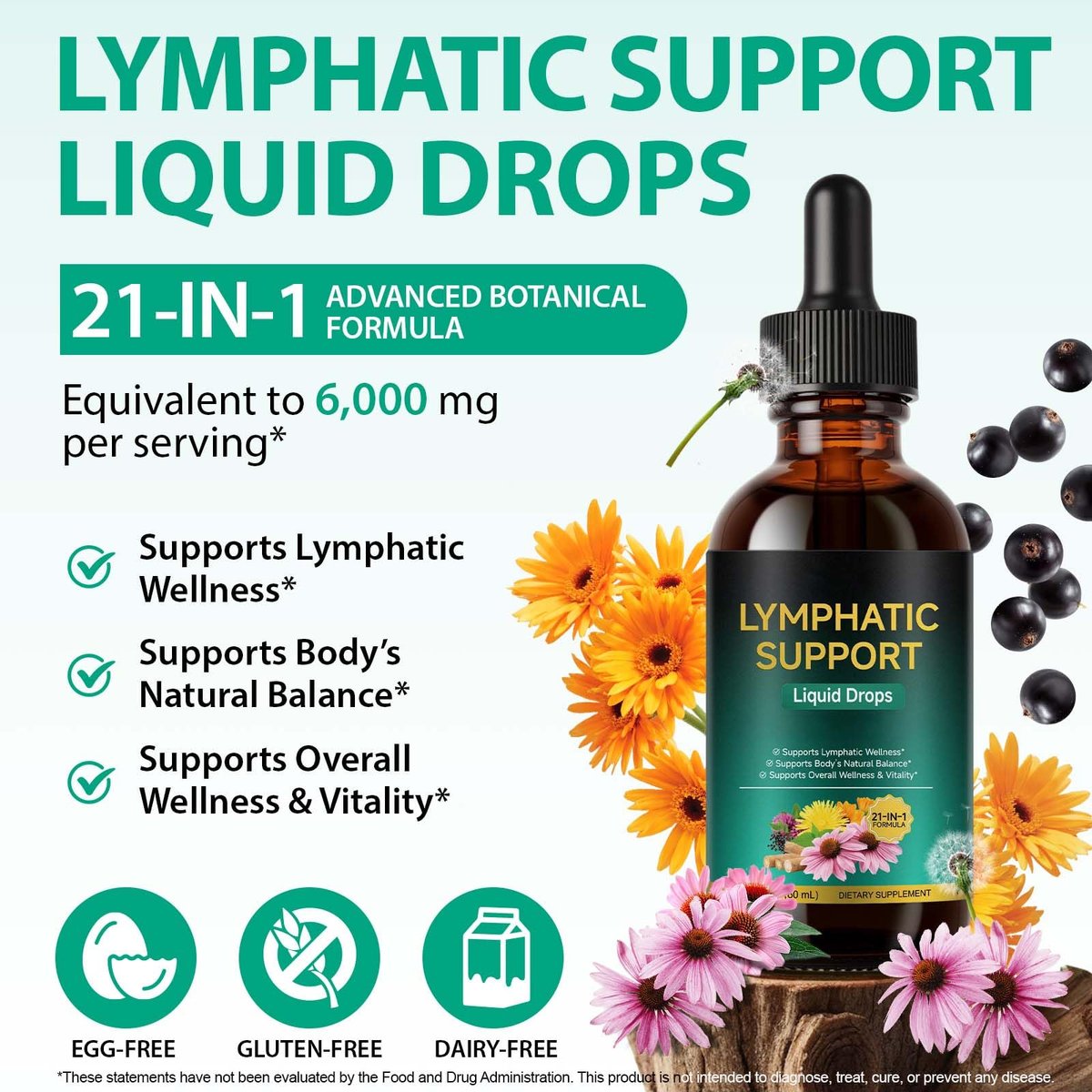 Lymphatische Drainage Tropfen – Natürliche Unterstützung für das Lymphsystem mit Echinacea, Löwenzahn, Holunder, Klettenlabkraut, Astragalus, Klette & mehr – 60 ml
