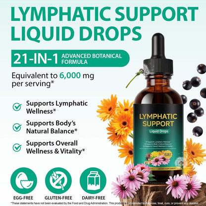 Lymphatische Drainage Tropfen – Natürliche Unterstützung für das Lymphsystem mit Echinacea, Löwenzahn, Holunder, Klettenlabkraut, Astragalus, Klette & mehr – 60 ml