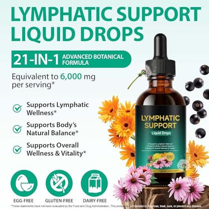 Lymphatische Drainage Tropfen – Natürliche Unterstützung für das Lymphsystem mit Echinacea, Löwenzahn, Holunder, Klettenlabkraut, Astragalus, Klette & mehr – 60 ml