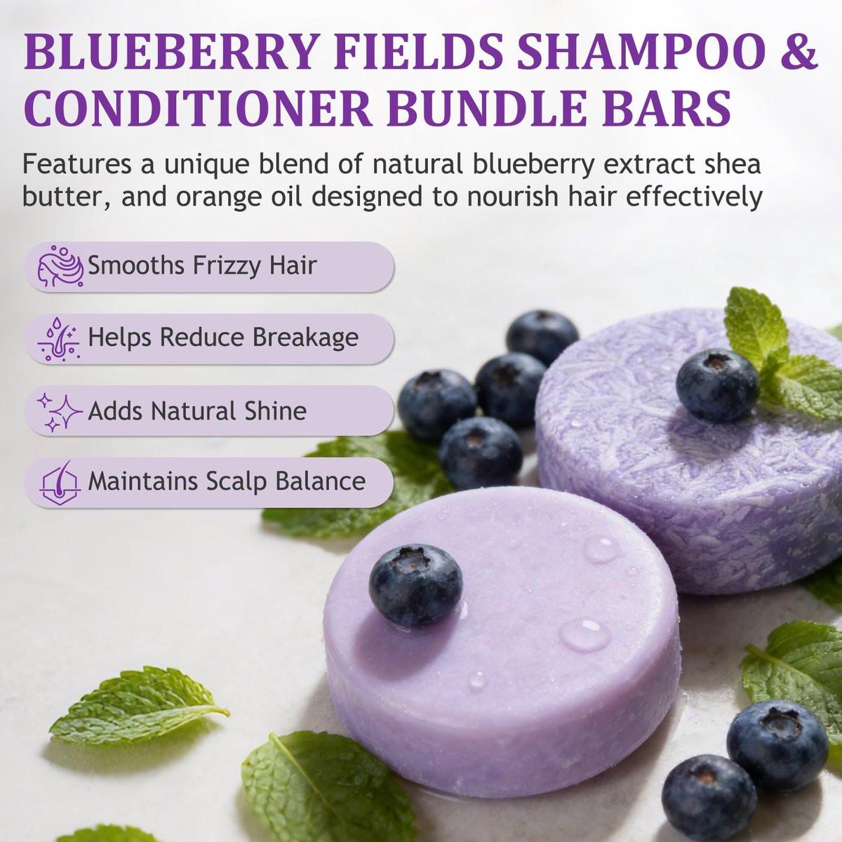 Blueberry Fields Shampoo & Conditioner Bundle – Natürliche Pflege für dünner werdendes und trockenes Haar