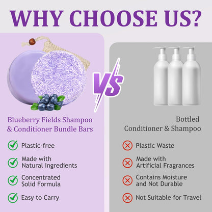 Blueberry Fields Shampoo & Conditioner Set mit natürlichem Blaubeerextrakt für dünner werdendes und trockenes Haar, Frizz-Kontrolle, Unisex (1 Set)