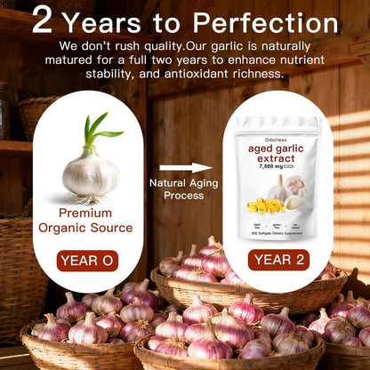 ULIKEATM Geruchsloser gealterter Knoblauchextrakt, 7500 mg Bio-Knoblauch-Kapseln zur Unterstützung der Antioxidantien und des Immunsystems, vegan, nicht gentechnisch verändert, rein natürlich – 300 Kapseln