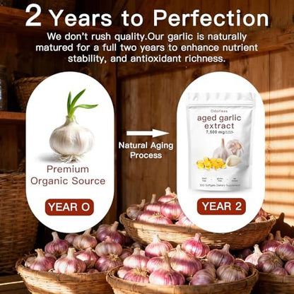 ULIKEATM Geruchsloser gealterter Knoblauchextrakt, 7500 mg Bio-Knoblauch-Kapseln zur Unterstützung der Antioxidantien und des Immunsystems, vegan, nicht gentechnisch verändert, rein natürlich – 300 Kapseln