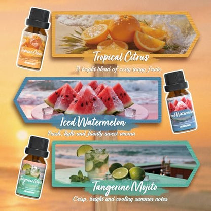 ARVIDSSON Hawaii Fragrance Oil Set – Tropische Duftöle für Diffuser – Sunset Breeze, Coconut Coast, Gild Pineapple, Tropical Citrus, Iced Watermelon, Tangerine Mojito (6 x 60 ml)