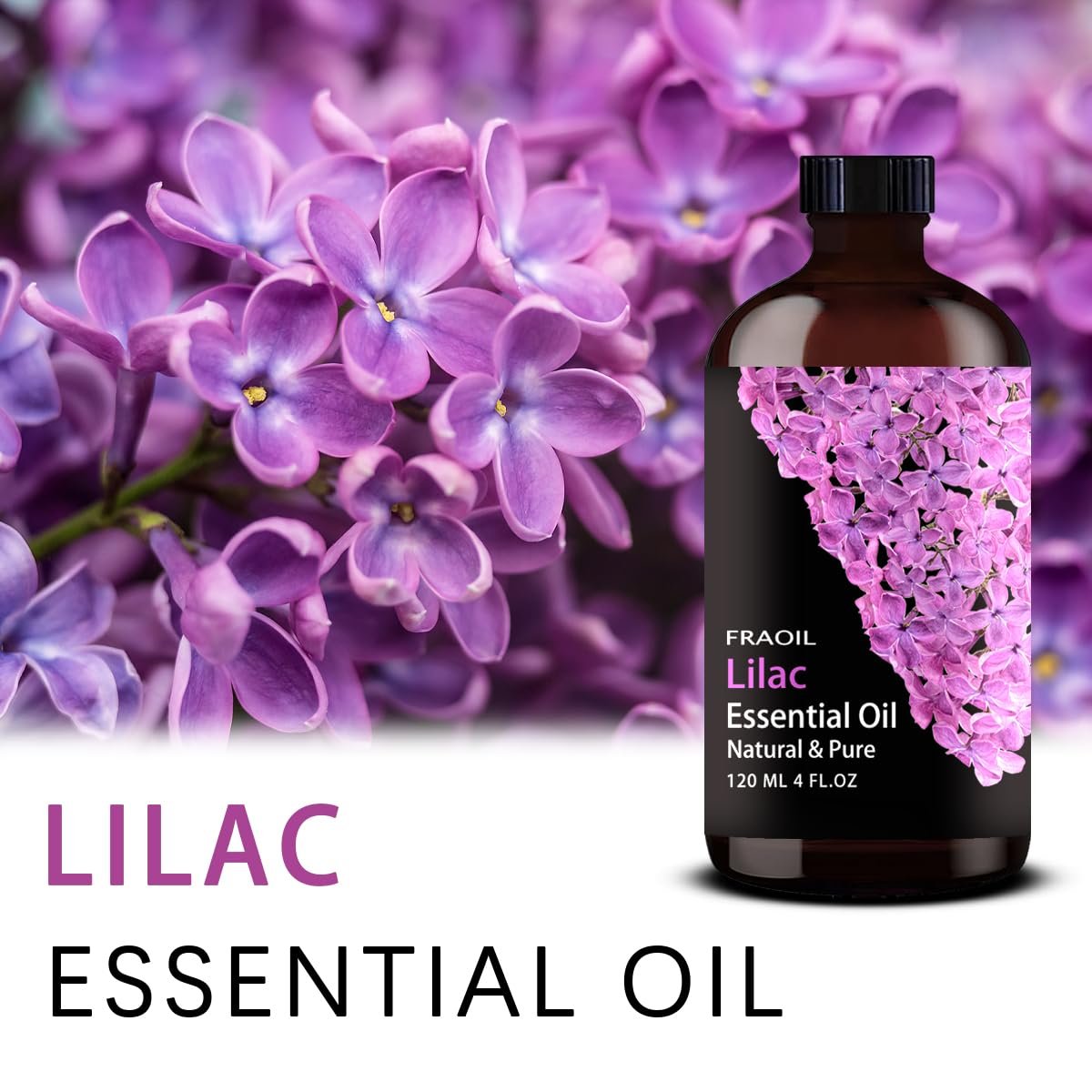 Lilac Essential Oil 120ml – 4 Fl Oz für Diffuser, Luftbefeuchter, Yoga, Reinigung, DIY Kerzen- und Seifenherstellung