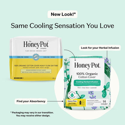 The Honey Pot Company - Kräuter-Binden für Frauen - Starker Fluss mit Flügeln - Mit ätherischen Ölen für Kühleffekt & Bio-Baumwollbezug - Damenhygiene - 14 Stück