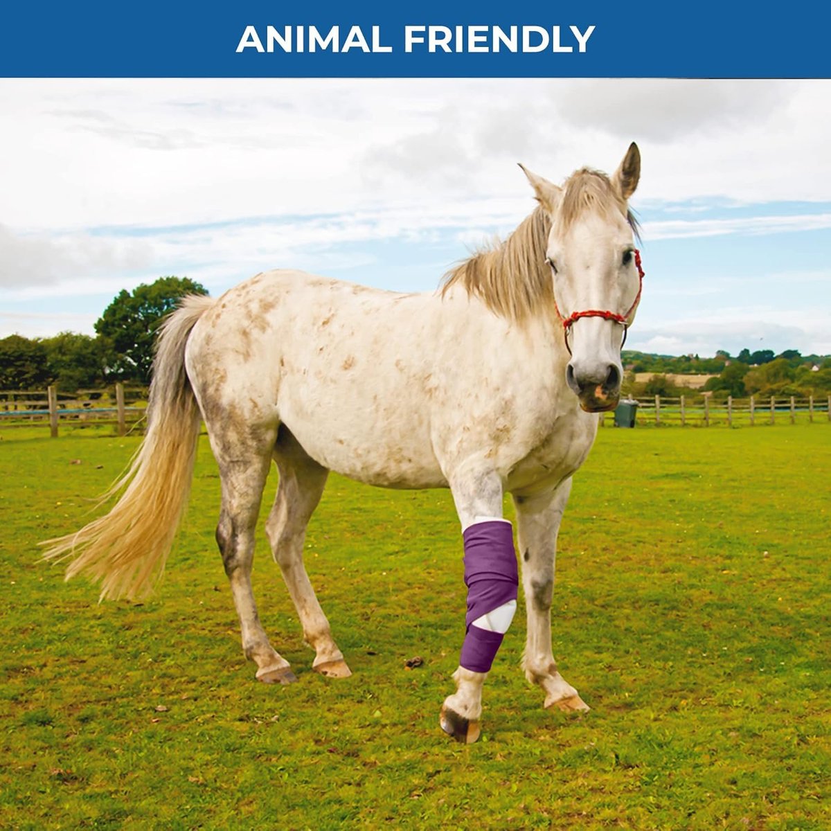 BANDVET WRAP Selbstklebende Bandage – 9er-Pack in verschiedenen Farben, 10 cm, nicht gewebt, atmungsaktiv & wasserabweisend für Erste Hilfe, Sportverletzungen, Verstauchungen & Haustiere