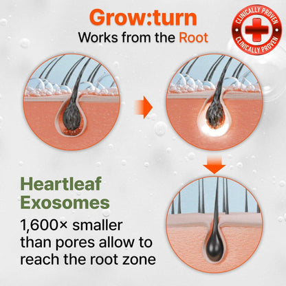 lilyeve GROWTURN 3D Volume Shampoo – Haarwuchs-Shampoo mit Hearthleaf-Exosomen für mehr Dicke und Volumen, koreanische Haarpflege – 480 ml