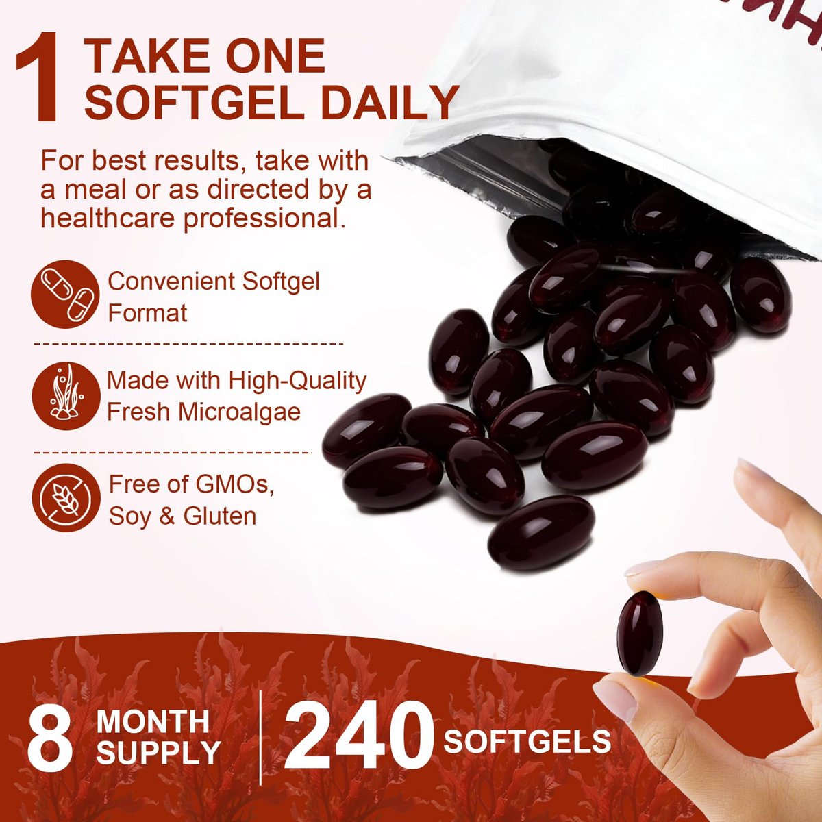 ZEYARUIBO Astaxanthin 12mg – Premium Antioxidant Kapseln für Augen-, Immun- und Hautgesundheit, 240 Weichkapseln